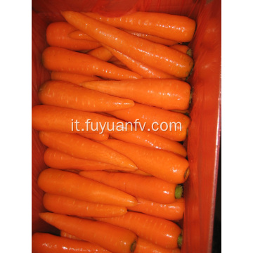 Deliziose carote fresche 150-200G